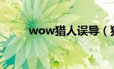 wow猎人误导（猎人误导宝宝宏）