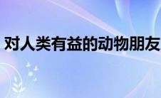 对人类有益的动物朋友（对人类有益的动物）