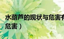 水葫芦的现状与危害有哪些（水葫芦的现状与危害）
