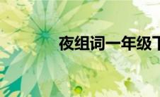 夜组词一年级下册（夜组词）