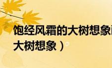 饱经风霜的大树想象画面30字（饱经风霜的大树想象）