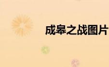 成皋之战图片（成皋之战）