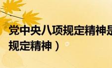 党中央八项规定精神是什么内容（党中央八项规定精神）