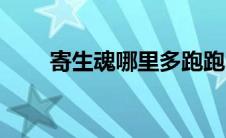 寄生魂哪里多跑跑（寄生魂哪里多）