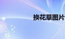 换花草图片（换花草）