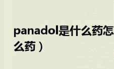 panadol是什么药怎么服用（panadol是什么药）