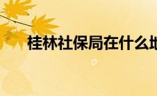 桂林社保局在什么地方（桂林社保局）