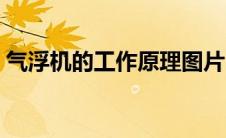 气浮机的工作原理图片（气浮机的工作原理）