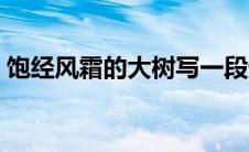 饱经风霜的大树写一段话（饱经风霜的大树）