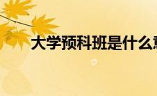大学预科班是什么意思?（大学预科）