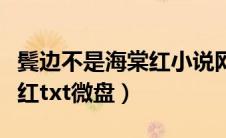 鬓边不是海棠红小说网盘资源（鬓边不是海棠红txt微盘）