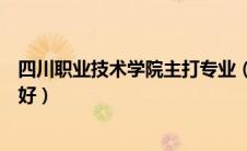 四川职业技术学院主打专业（四川职业技术学校哪个专业最好）