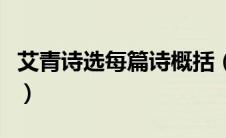艾青诗选每篇诗概括（艾青诗选每篇主要内容）