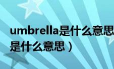 umbrella是什么意思翻译成中文（umbrella是什么意思）