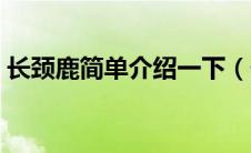 长颈鹿简单介绍一下（长颈鹿的简介是什么）