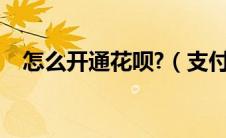 怎么开通花呗?（支付宝花呗怎么开通不）