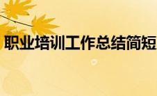 职业培训工作总结简短（职业培训工作总结）