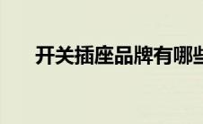 开关插座品牌有哪些（开关插座品牌）
