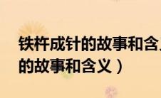 铁杵成针的故事和含义简写20字（铁杵成针的故事和含义）