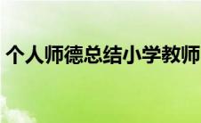 个人师德总结小学教师（师德总结小学教师）