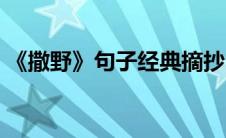 《撒野》句子经典摘抄（撒野句子经典摘抄）