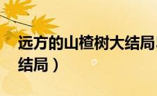 远方的山楂树大结局54集（远方的山楂树大结局）