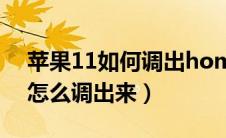 苹果11如何调出home键（苹果11home键怎么调出来）