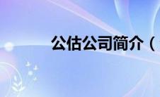 公估公司简介（公估公司排名）