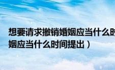 想要请求撤销婚姻应当什么时间提出异议（想要请求撤销婚姻应当什么时间提出）