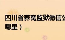 四川省荞窝监狱微信公众号（四川荞窝监狱在哪里）