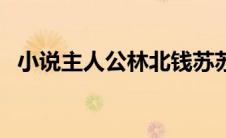 小说主人公林北钱苏苏（小说主人公林北）
