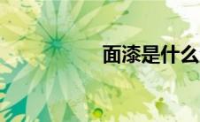 面漆是什么漆（面漆）