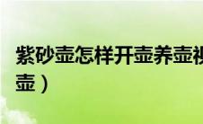 紫砂壶怎样开壶养壶视频（紫砂壶怎样开壶养壶）