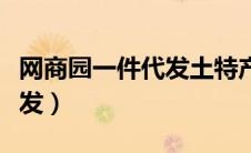 网商园一件代发土特产零食类（网商园一件代发）