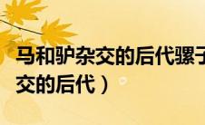 马和驴杂交的后代骡子是什么品种（马和驴杂交的后代）