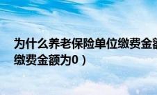 为什么养老保险单位缴费金额为0元（为什么养老保险单位缴费金额为0）