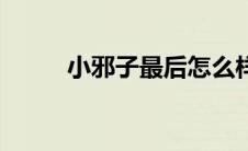 小邪子最后怎么样了（小邪子死）