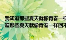 我知道那些夏天就像青春一样回不来是哪首歌的歌词（我知道那些夏天就像青春一样回不来）