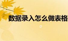 数据录入怎么做表格（数据录入怎么做）