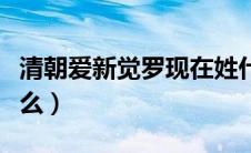 清朝爱新觉罗现在姓什么（爱新觉罗现在姓什么）