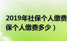 2019年社保个人缴费多少钱一年（2019年社保个人缴费多少）