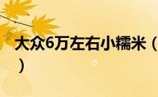 大众6万左右小糯米（七座mpv排行榜前十名）