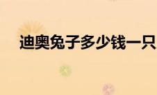 迪奥兔子多少钱一只（兔子多少钱一只）