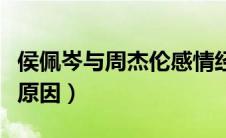 侯佩岑与周杰伦感情经历（侯佩岑周杰伦分手原因）