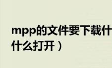 mpp的文件要下载什么来打开（mpp文件用什么打开）