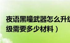 夜语黑瞳武器怎么升级100（夜语黑瞳武器升级需要多少材料）