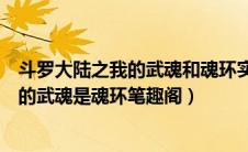 斗罗大陆之我的武魂和魂环实在是太争气了（斗罗大陆之我的武魂是魂环笔趣阁）