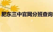 肥东三中官网分班查询入口（肥东三中官网）
