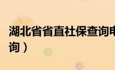 湖北省省直社保查询电话（湖北省省直社保查询）