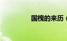 国槐的来历（国槐简介）